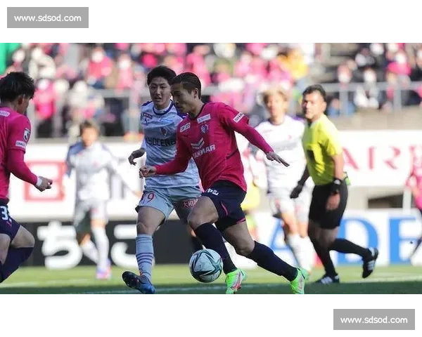 熊本深红主场迎战名古屋鲸 八强争夺悬念拉满之夜关键战役焦点对决全面解析